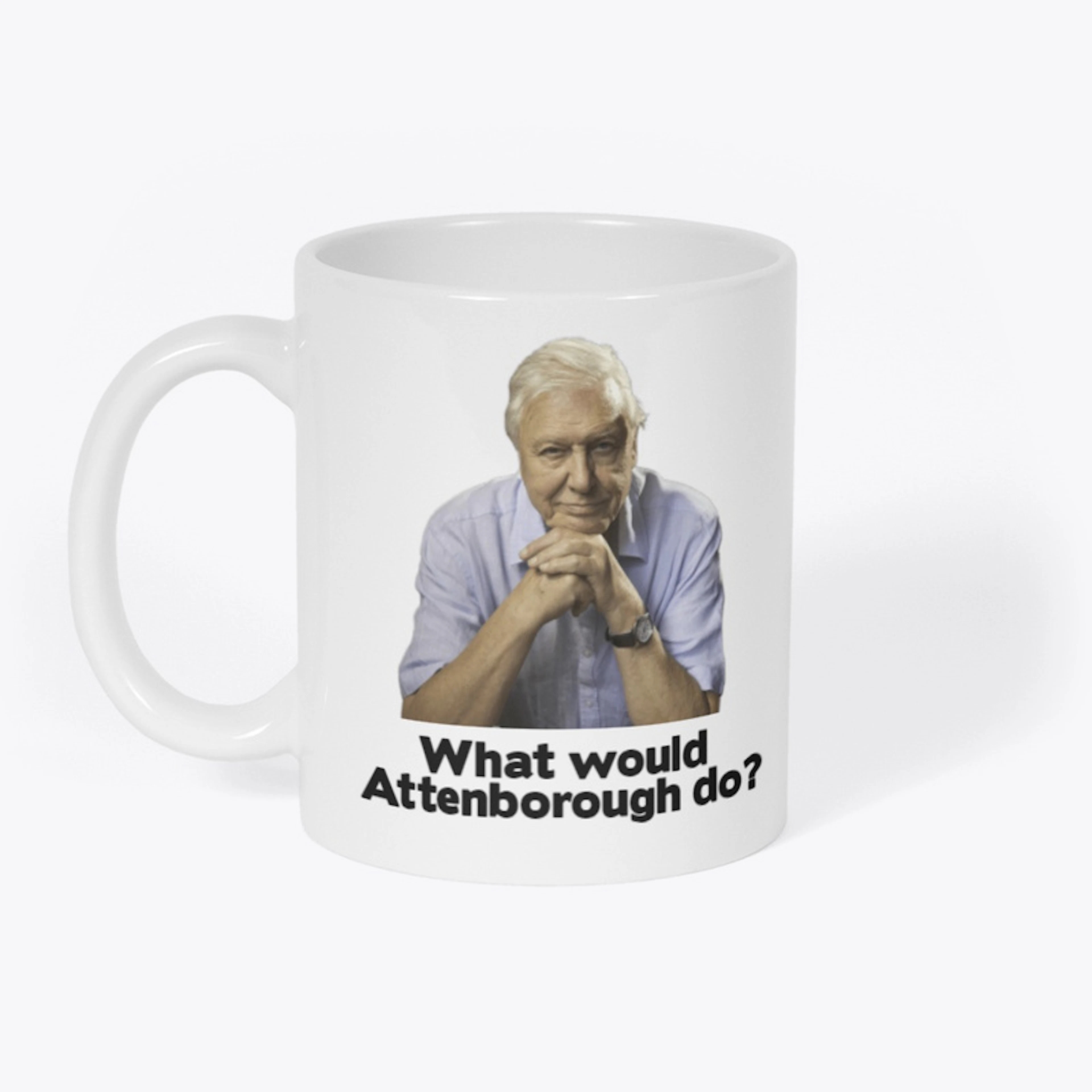 What Would David Attenborough Do?
